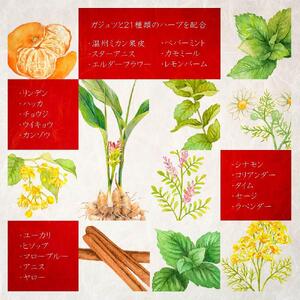 屋久島・種子島産ガジュツ配合 恵命堂我述飴（3袋セット）