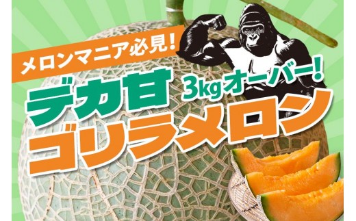 【限定品】沖縄宮古島産　ゴリラメロン　1玉（3kg超え） ＜琉球マルシェ＞
