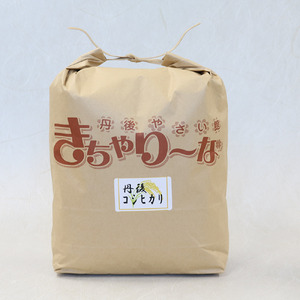 【令和7年産 新米】丹後コシヒカリ 10kg 精米 白米