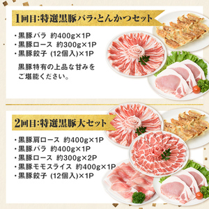 【D02007】＜定期便・全5回＞かごしま黒豚まんぞく定期便B (月1回×5ヶ月) 鹿児島 九州産 国産 肉 豚肉 黒豚 焼豚 肩ロース ロース モモ スライス 叉焼 餃子 ギョーザ ぎょうざ しゃぶ