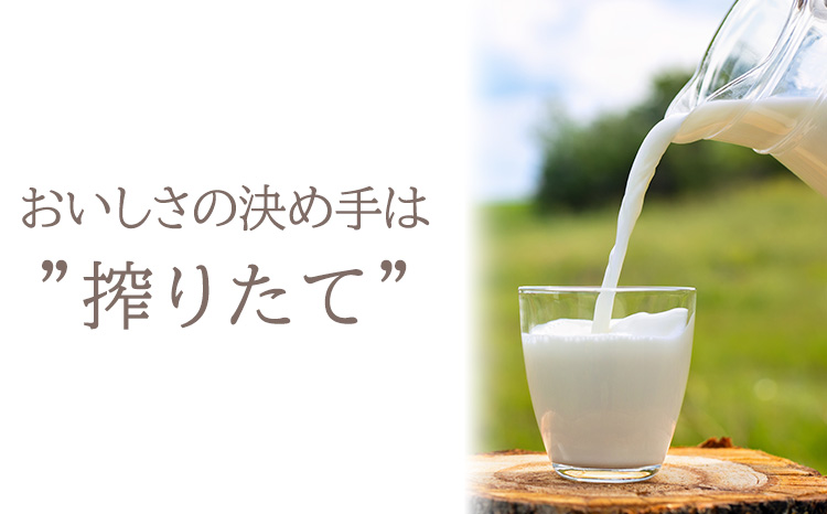 高原アイスクリーム研究所 『ミニパフェ』(6個セット) 　 TF0299-P00023