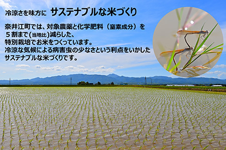 【定期便4回】北海道奈井江町　特別栽培米　ななつぼし　15kg
