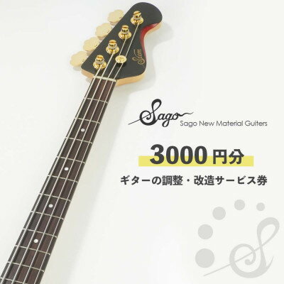 【ふるさと納税】ギターの調整・改造サービス券|オーダーメイド工房による職人対応(3000円分)【1669064】