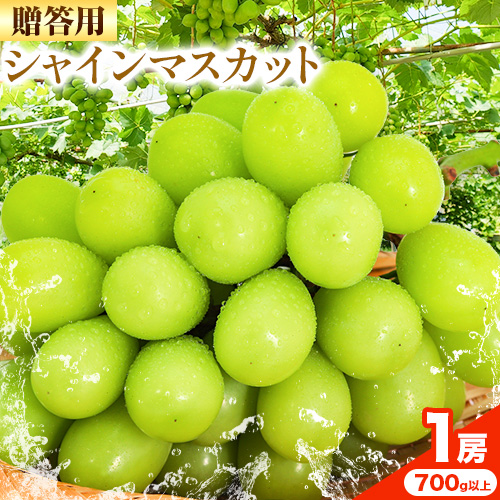 贈答クラス シャイン マスカット 1房 (700g以上) 【配送不可地域あり】 OEC KINGDOMぶどう家 《8月下旬-10月上旬頃出荷》岡山県 浅口市 ぶどう 果物