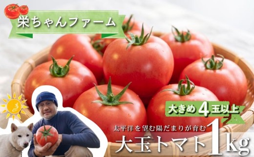【2027年3月発送】大玉トマト1kg 良品 大 4玉 以上 先行予約 トマト とまと 野菜 旬 サラダ パスタ 季節限定 産地直送 大玉トマト ギフト プレゼント 贈答 贈り物 静岡県産 栄ちゃんファーム 静岡県 下田市