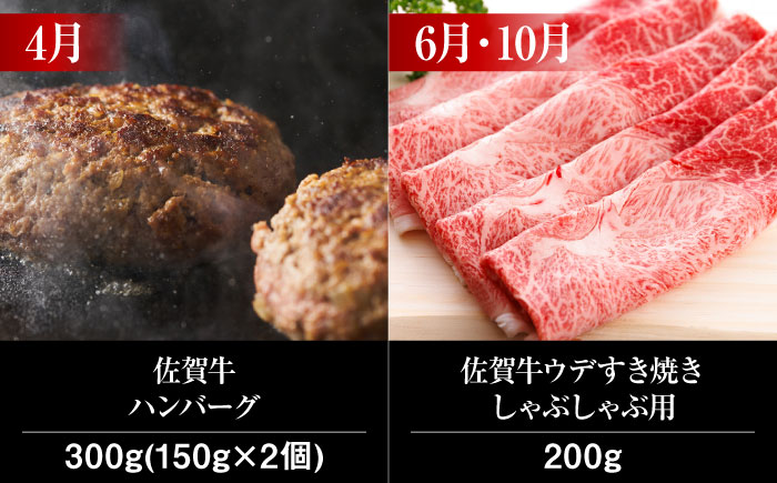 【全6回・偶数月にお届け】 A5ランク 佐賀牛 高級 霜降り 食べ比べ 定期便 約1-2人前 総計1.66kg 8万コース 隔月発送 /焼肉どすこい [UCC006] 牛肉 肉 ステーキ すき焼き