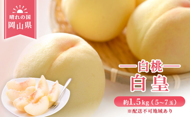 【 2027年 先行予約】 桃 岡山県産 白皇 （ 白桃 ） 約1.5kg （5～6玉） 《2027年8月中旬-下旬頃出荷》  白桃 岡山 はくとう スイーツ フルーツ 果物 先行予約 数量限定 期間限定 里庄町 モモ もも 