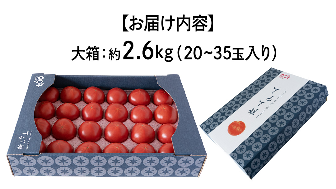 【母の日専用】 スーパーフルーツトマト てるて姫 大箱 約2.6kg ×1箱 糖度9度以上 《5月4日～10日お届け メッセージカード付》 トマト とまと 野菜 母の日 ギフト 贈り物 プレゼント 感