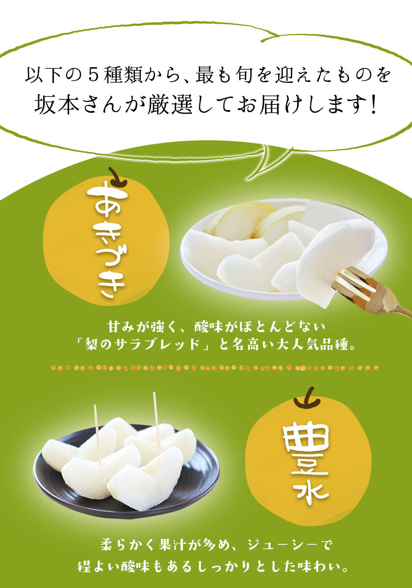 さかもと果樹園の玉東梨 約3kg (3玉-10玉前後) 《8月中旬-9月末頃出荷》【日付指定・品種指定不可】 ---sg_csksyun_bc8_25_11500_3kg---