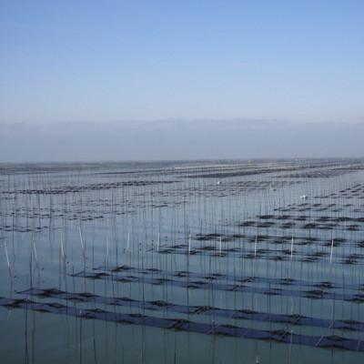 ふるさと納税 鞍手町 一番摘み有明海苔(10切80枚×4本 計320枚) 有明海柳川産 海苔詰合せ「自慢の味海苔」 |  | 02