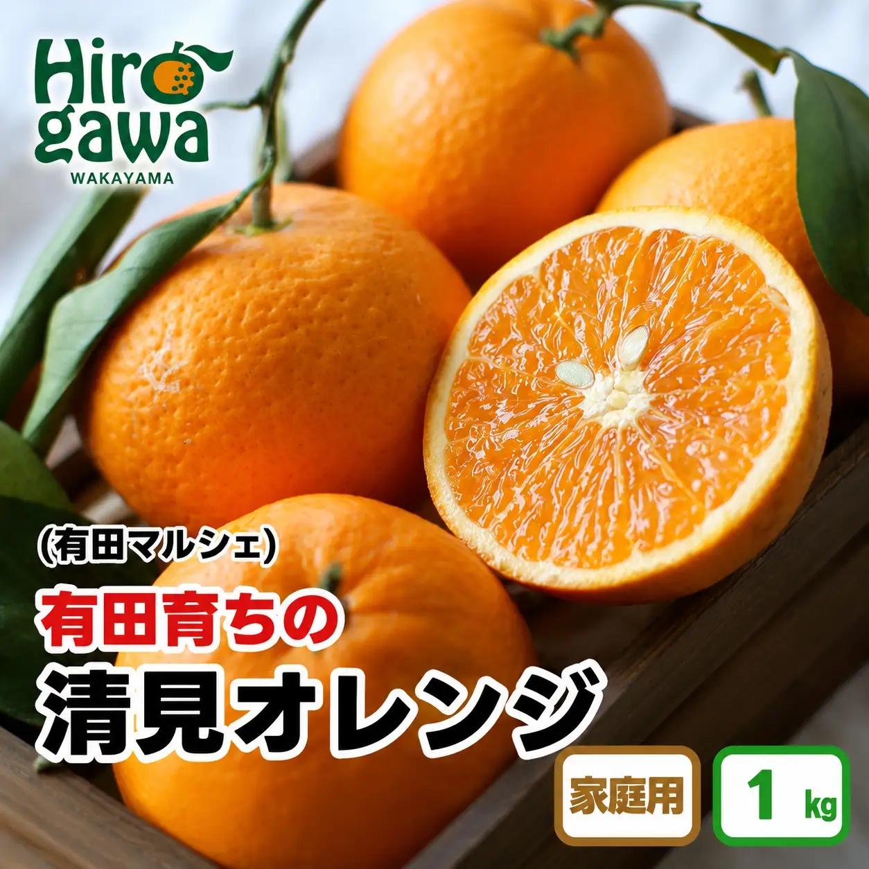 【産地直送】 有田 育ちの ご家庭用 完熟 清見 オレンジ 1kg+200g(補償分) / みかん 甘い オレンジ フルーツ 果物 有田 和歌山 ※2027年2月下旬～5月上旬に順次発送 ※北海道・沖縄・離島への配送不可【ard011-c-1B】