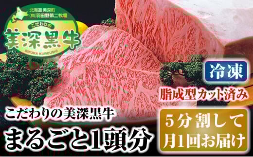
[№5894-0248]北海道 こだわりの美深黒牛1頭分（冷凍）5分割して月1回お届け
