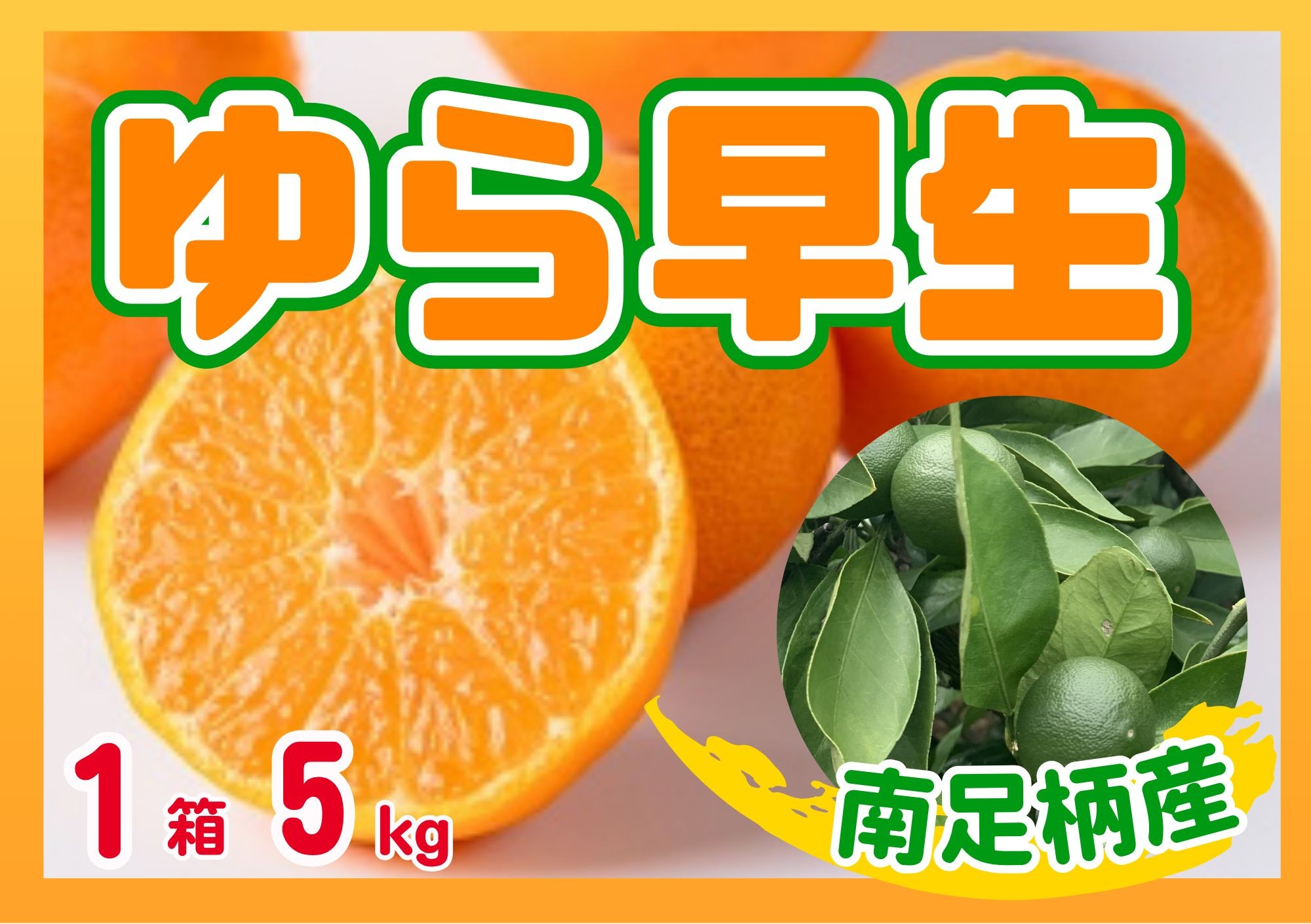 
                  ゆら早生 5kg 〈出荷時期：2026年11月１日出荷開始～2026年11月30日出荷終了〉｜みかん フルーツ 果物 くだもの  神奈川県 南足柄市
                