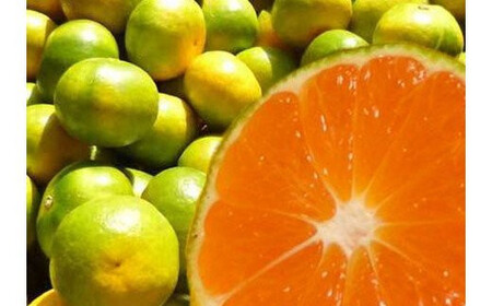 みかん ゆら早生みかん 約2kg【2026年10月～11月に順次発送予定】【nuk143E】