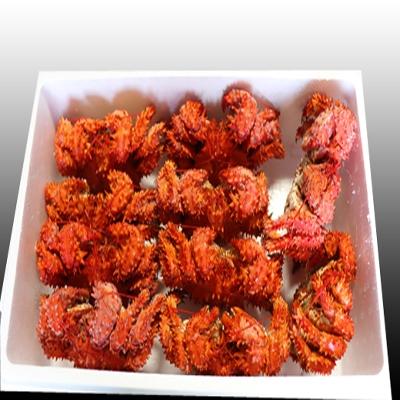 ふるさと納税 根室市 ＜12/21まで年内配送＞★花咲かに400〜600g×10尾 D-70007 |  | 03