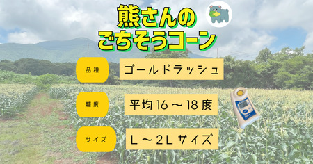 【 冷蔵 クール 】 朝採り トウモロコシ 熊さんのごちそうコーン 20本 ～ 22本 品種 ゴールドラッシュ TAMAI WINE 配送先は本州限定 2025年8月上旬頃から2025年8月下旬頃まで