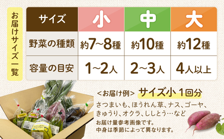 【全４回定期便】春夏秋冬 季節のお野菜セット（サイズ小） 【宮崎県 7～8種 定期便 詰め合わせ 新鮮 産地直送 おまかせ 季節の野菜 ボックス 農家直送 有機栽培 送料無料 オーガニックのまち 宮崎
