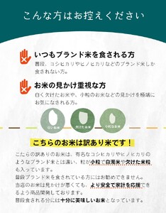 【定期便6回】 毎日食卓・米農家 応援米 20kg ( 5kg ×4袋)  × 6回 熊本県産 お米 白米