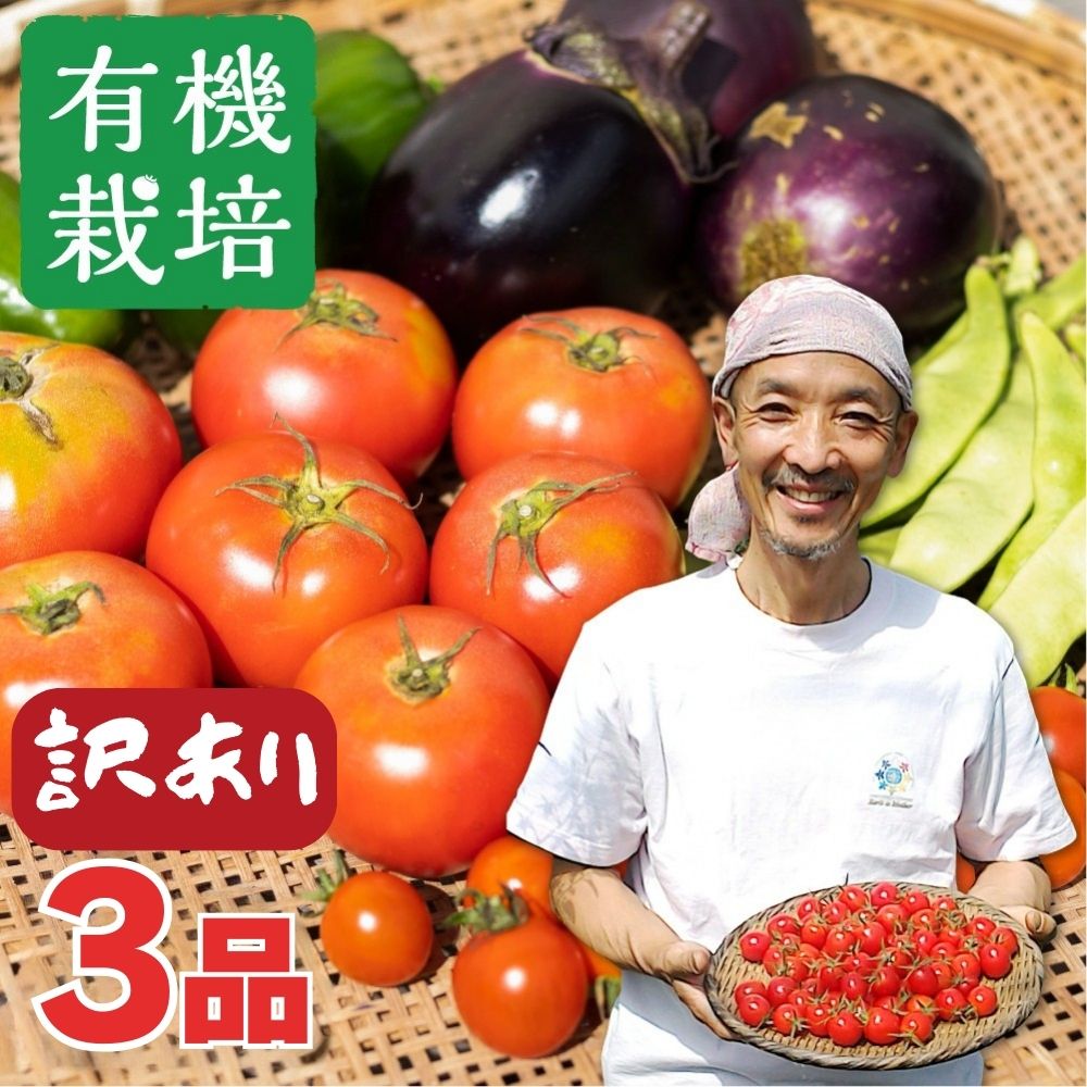 【ふるさと納税】《訳あり》野菜の栄養価コンテストグランプリ農家が贈る 無農薬栽培 有機栽培 旬の野菜セット 3品 規格外 飛騨市 ありがとうファーム [Q794re] 5000円 5千円 《hida0307》