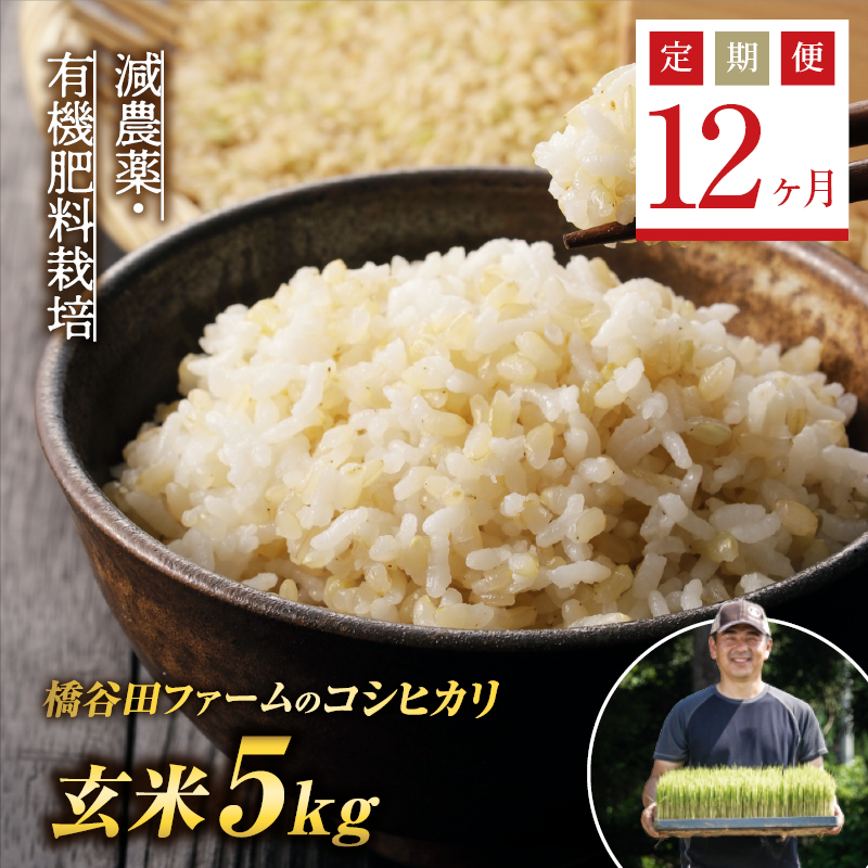 《定期便12ヶ月》減農薬・有機肥料栽培 西会津産米コシヒカリ 玄米 5kg F4D-1211