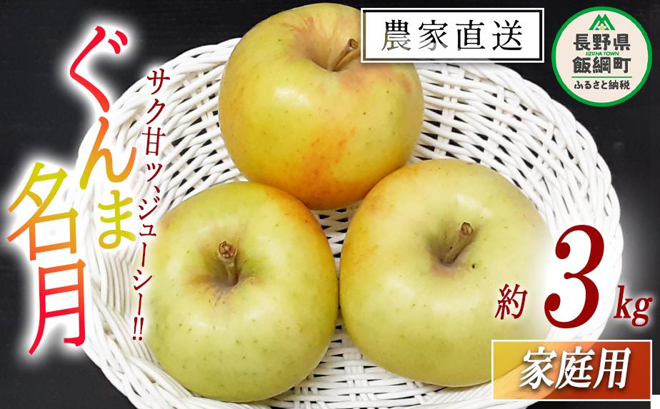 
            りんご ぐんま名月 家庭用 3kg 永野農園 沖縄県への配送不可 2025年11月上旬頃から2025年11月下旬頃まで順次発送予定 令和7年度収穫分 信州 果物 フルーツ リンゴ 林檎 長野 予約 農家直送 長野県 飯綱町 [1557]
          