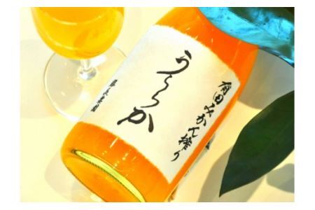 有田みかん搾り「うららか」4本セット(B291-2)