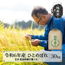 【ふるさと納税】 新米 米 玄米30kg ひとめぼれ 令和6年産 2024年産 尾花沢市産 生産者応援！ 送料無料※着日指定配送不可※沖縄・離島への配送不可