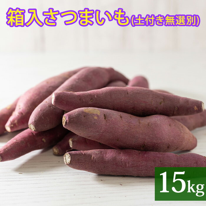 【ふるさと納税】箱入 さつまいも 15kg (土付き 無選別)