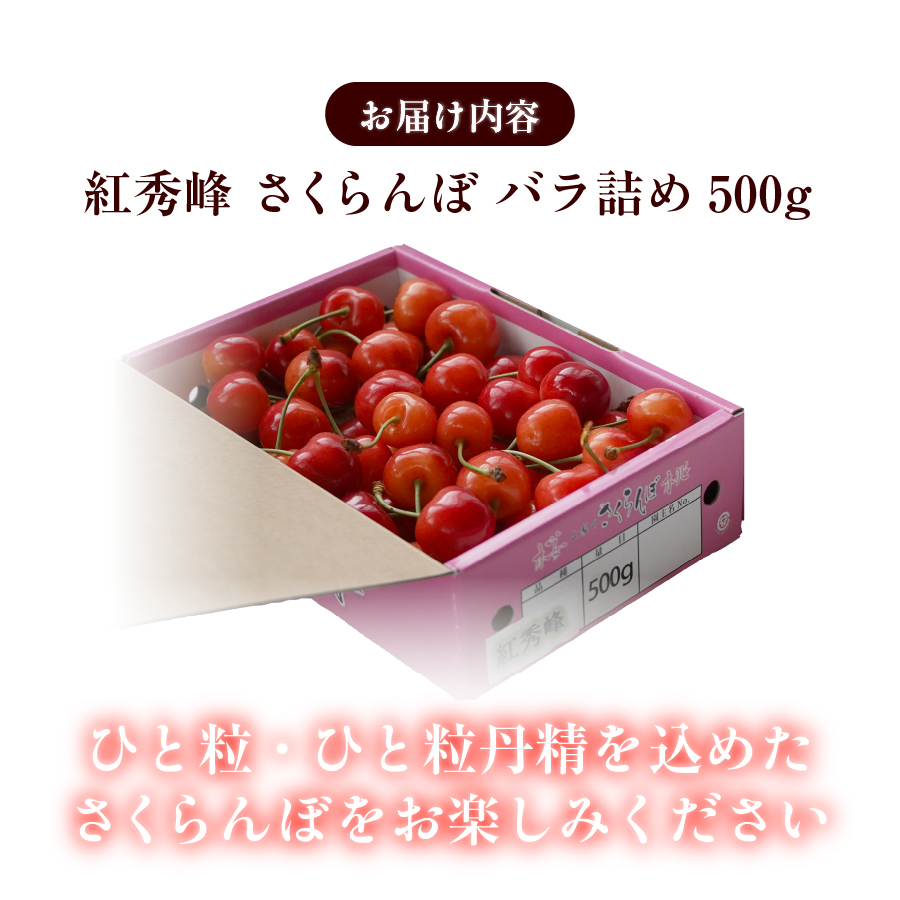 【2026年発送】【数量限定】【期間限定】山梨県産 紅秀峰 さくらんぼ (500g) バラ詰め