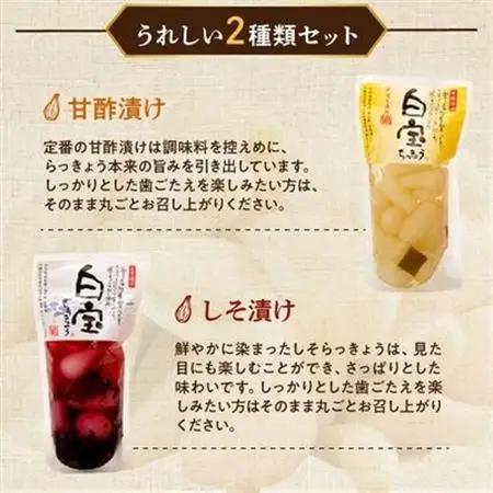 鹿児島県産砂丘らっきょう漬けセット【1185785】