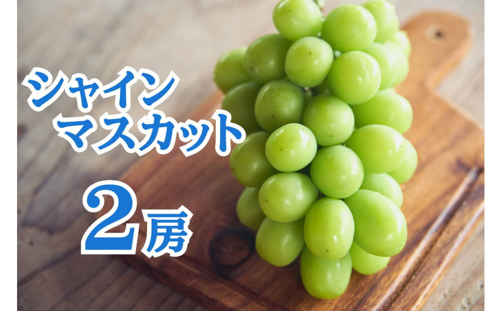 
            シャインマスカット2房1.2Kg以上　佐渡島産
          