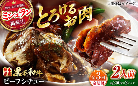 【全3回定期便】 熊本県産 黒毛和牛 こだわりのビーフシチュー 計2パック （約250g×2パック） ビーフシチュー ビーフ シチュー 牛肉 肉 　【有限会社スイートサプライなかぞの】[ZBV108]