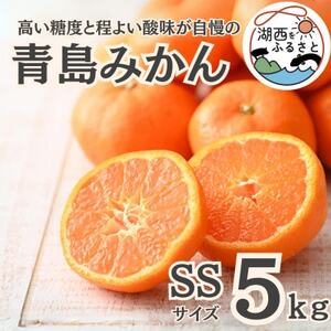 【先行受付】【2026年1月初旬頃より順次出荷予定】青島みかん約5kg SSサイズ〔鈴木農園〕【1510107】