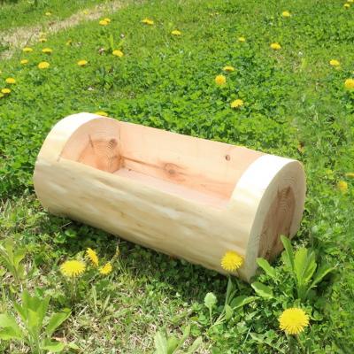 ふるさと納税 能代市 秋田杉の丸太プランター「生え杉くん(はえすぎくん)」横長タイプ[No.5335-0257] |  | 01