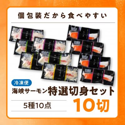 ふるさと納税 むつ市 海峡サーモン 特選切身セット10切 (5種10点) |  | 03