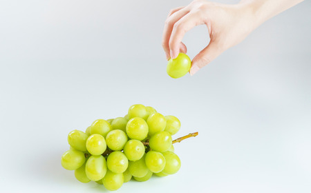 ぶどう シャインマスカット 約1kg|シャインマスカット ぶどう