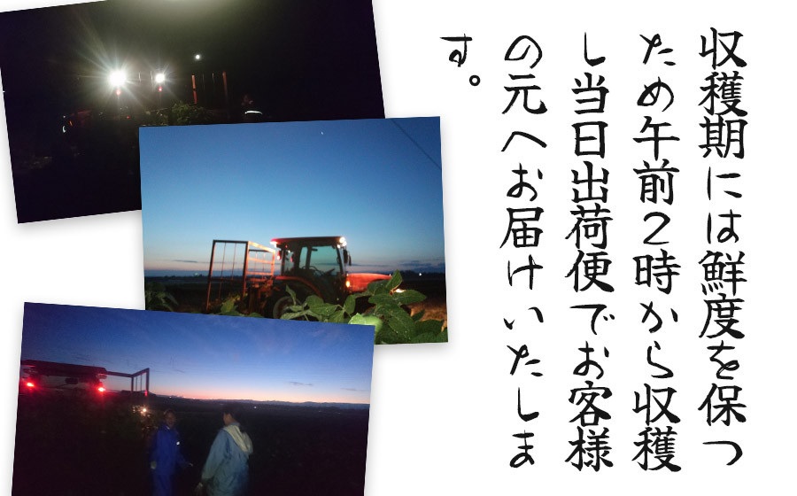 【令和8年産先行予約】”元祖”森屋藤十郎の白山産だだちゃ豆 お楽しみ定期便3回「早生・白山(本豆)・晩生」各1kg（500g×2袋） 鶴岡特産　K-831