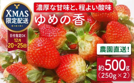 【12月24日お届け クリスマス用】いちご ゆめの香 500g（250g×2パック）長崎県/わたる農園 [42AABB005]