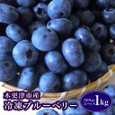 【ふるさと納税】 木更津市産　冷凍ブルーベリー　1kg（500g×2パック）ふるさと納税 ブルーベリー 冷凍 木更津 千葉県 送料無料 KCA002