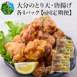 T10013　大分名物！とり天・唐揚げ 各4パック（6回お届け定期便）