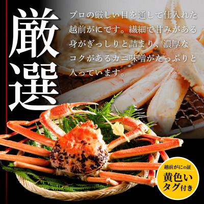 ふるさと納税 越前町 ≪浜茹で≫ 越前がに 大サイズ × 1杯【12月発送分】 |  | 01