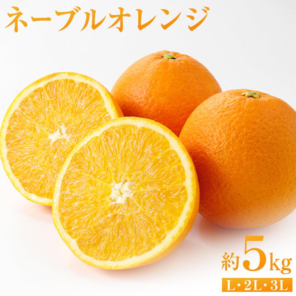 【ふるさと納税】ネーブルオレンジ 約5kg（L・2L・3L）【2026年2月から発送開始】 | 柑橘 フルーツ 果物 くだもの 食品 人気 おすすめ 送料無料 広島県 尾道市
