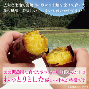 【10月中旬～11月末までの発送品！】【自然栽培】紅はるか 生さつまいも(4kg+約25%補償分)　計 約5kg 【サツマイモ 芋 いも べにはるか 自然栽培 新鮮 オーガニック 焼き芋 煮物 天ぷら