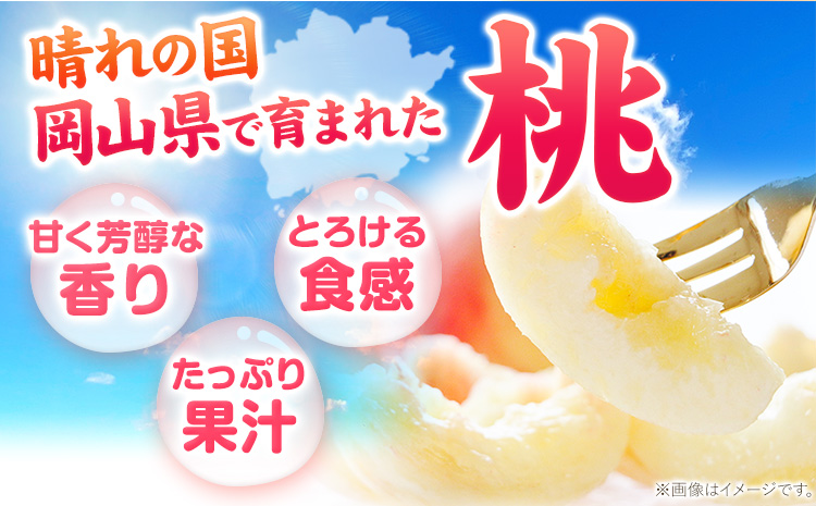 【豊作につき特別寄附額】桃 岡山の桃 約1.3kg 《2026年6月下旬-9月上旬頃出荷》 ご家庭用 訳あり 白桃 岡山 旬 モモ もも 先行予約 送料無料 果物 岡山県 笠岡市 清水白桃 白鳳 白麗