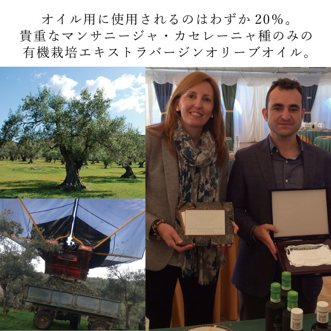 御中元  有機栽培 エキストラバージン オリーブオイル シングル 2本セット 調味料 オリーブ油 植物オイル フルーティ ギフト 