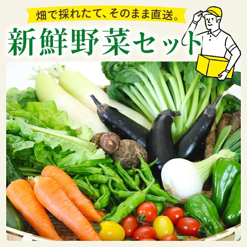 【野菜】新鮮野菜セット ( 7～9品 )