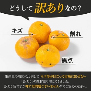 ＜先行予約受付中！2026年3月上旬以降順次発送予定＞訳あり！鹿児島県産まかない紅甘夏(約20kg) 国産 鹿児島産 柑橘 訳アリ 果物 フルーツ 旬 常温保存 紅甘夏 ベニアマナツ 数量限定 期間限