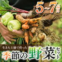 【ふるさと納税】【里山JAPAN】長野県東御市産生きた土壌で育った『季節の野菜セット』（7〜8品目）