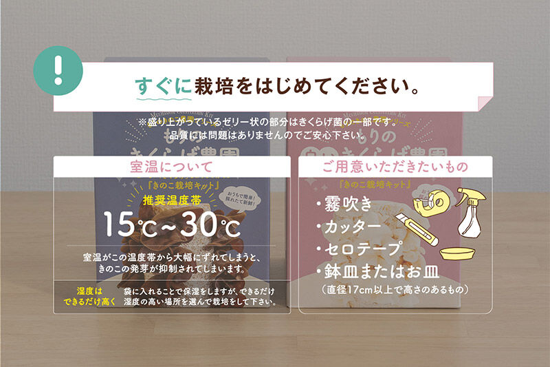 《夏季限定》きくらげ栽培キット 2種類セット もりのきくらげ農園／白いきくらげ農園 [木耳 きくらげ キクラゲ]