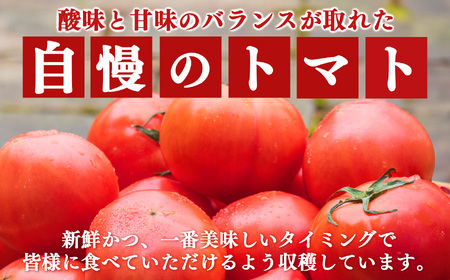 奈良・五條 田中農園の生搾りトマトジュース｜とまと 野菜ジュース 無添加